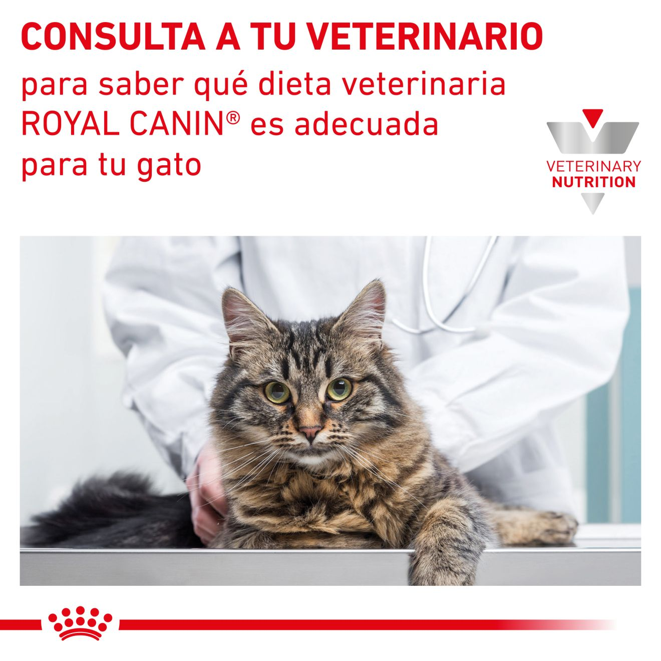 Royal Canin Gastrointestinal Gato Pouch 85 g