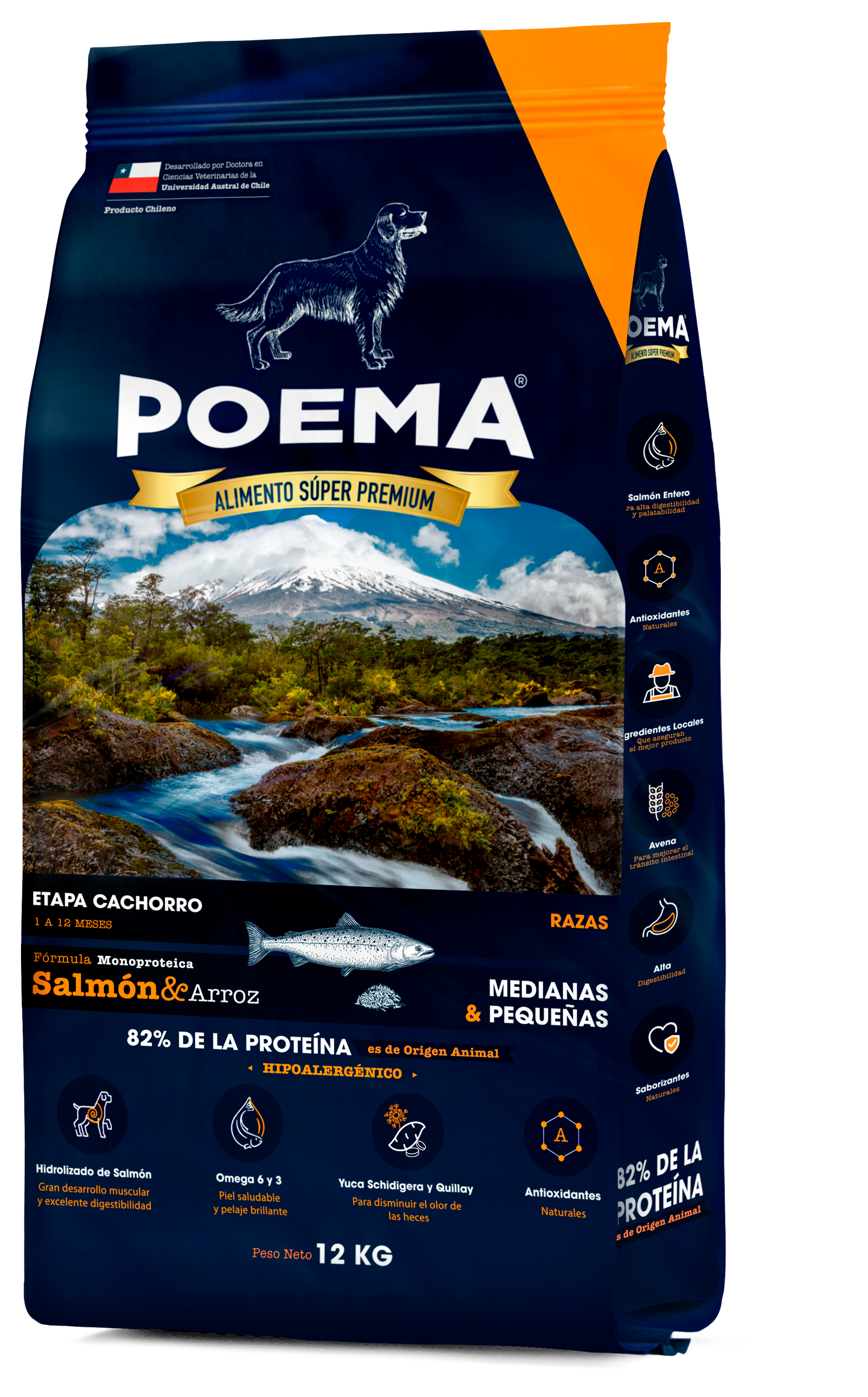 POEMA CACHORRO SALMON