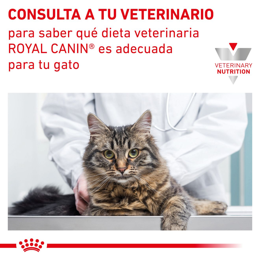 Royal Canin GASTROINTESTINAL Cat