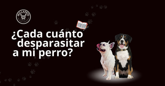 ¿Cada cuánto desparasitar a tu perro? Guía completa