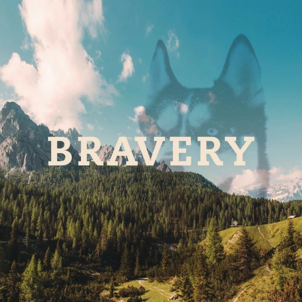 Bravery