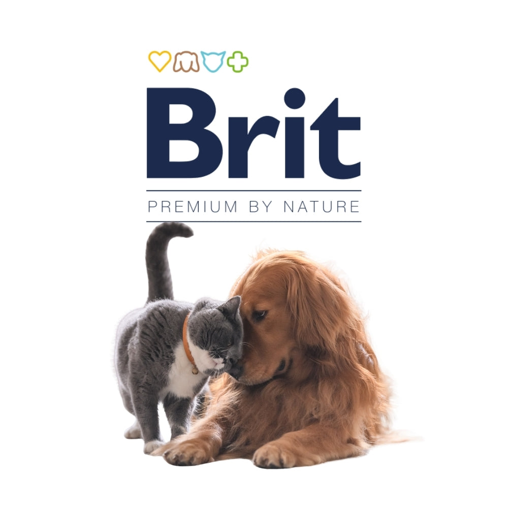 Brit
