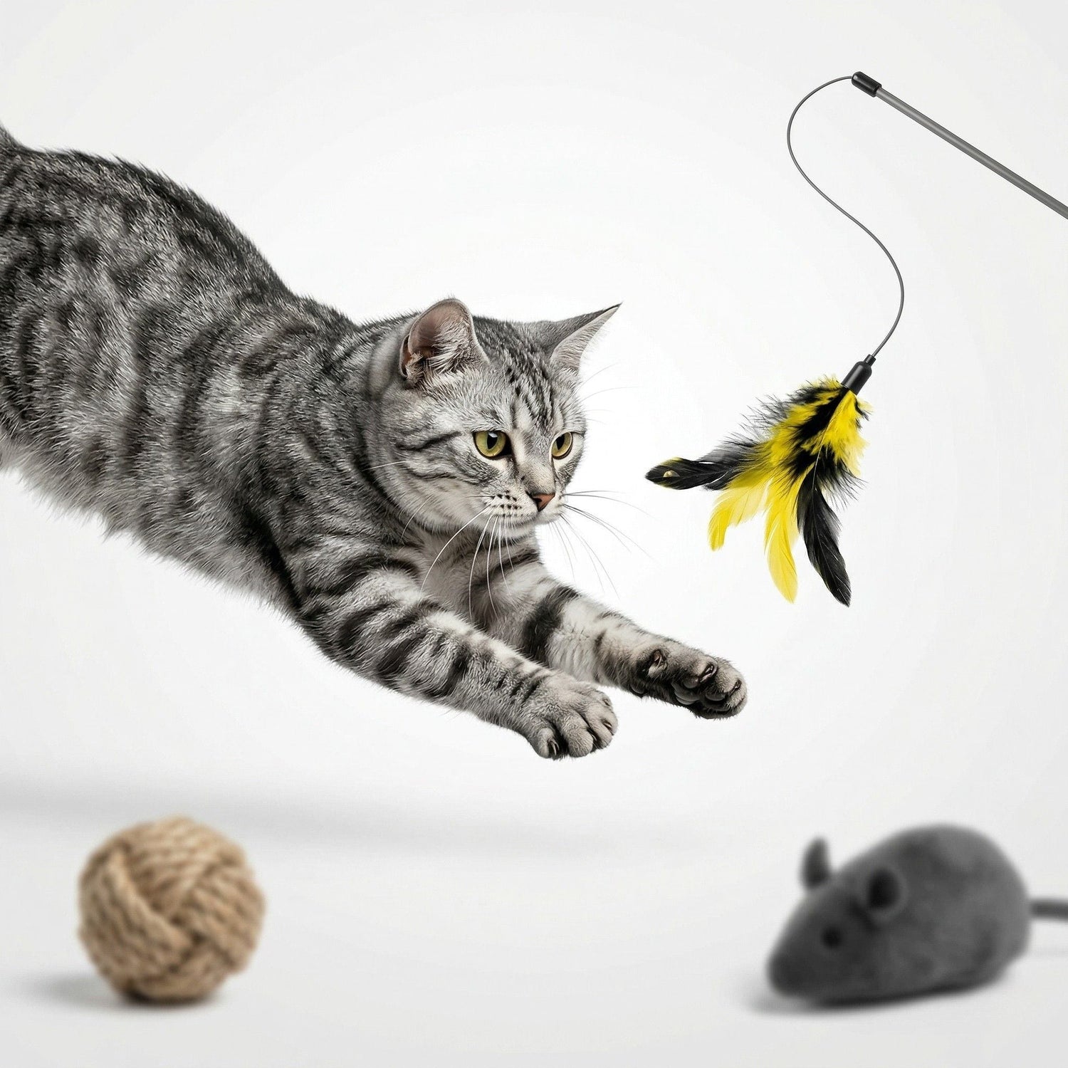 Juguetes y Accesorios Gato