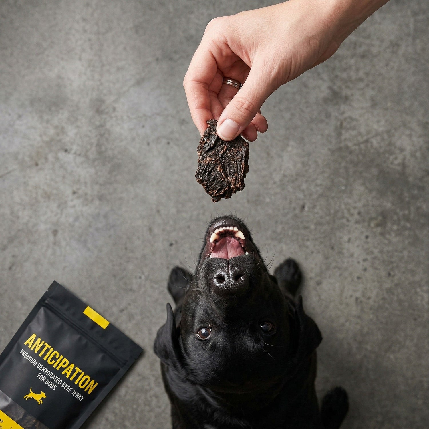 Snacks Perros