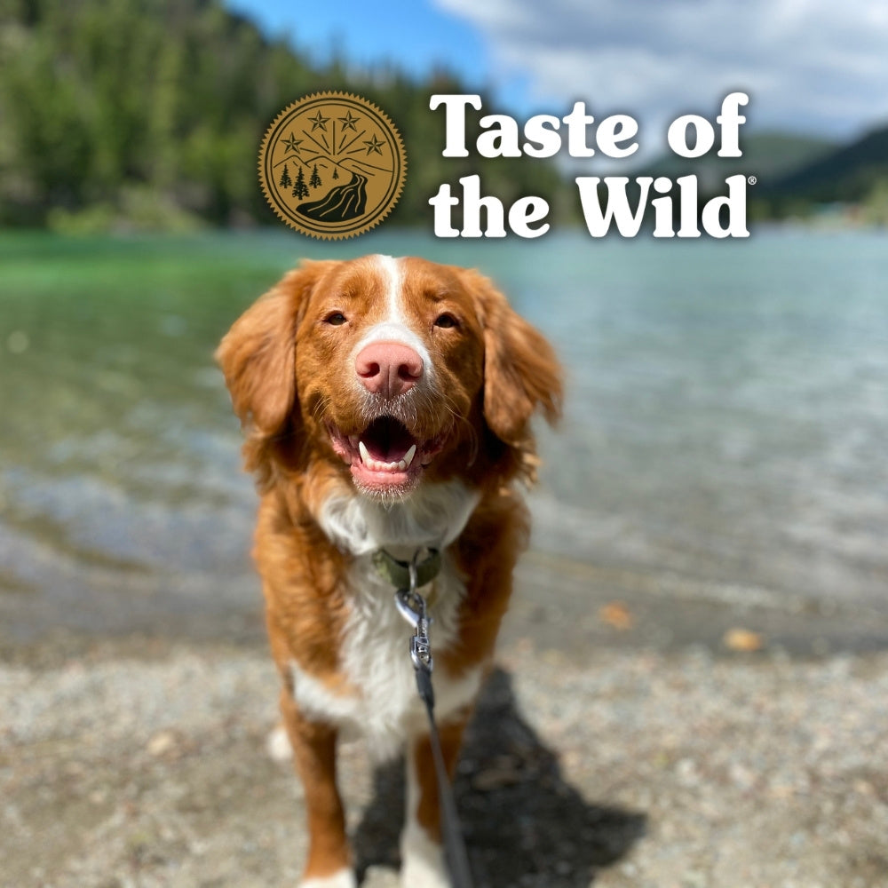 Taste of Wilde