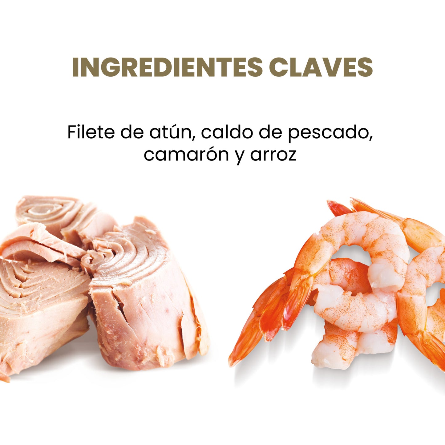 APPLAWS GATO FILETE DE ATUN-CAMARON CON CALDITO