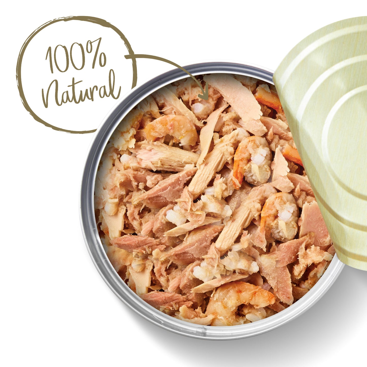 APPLAWS GATO FILETE DE ATUN-CAMARON CON CALDITO