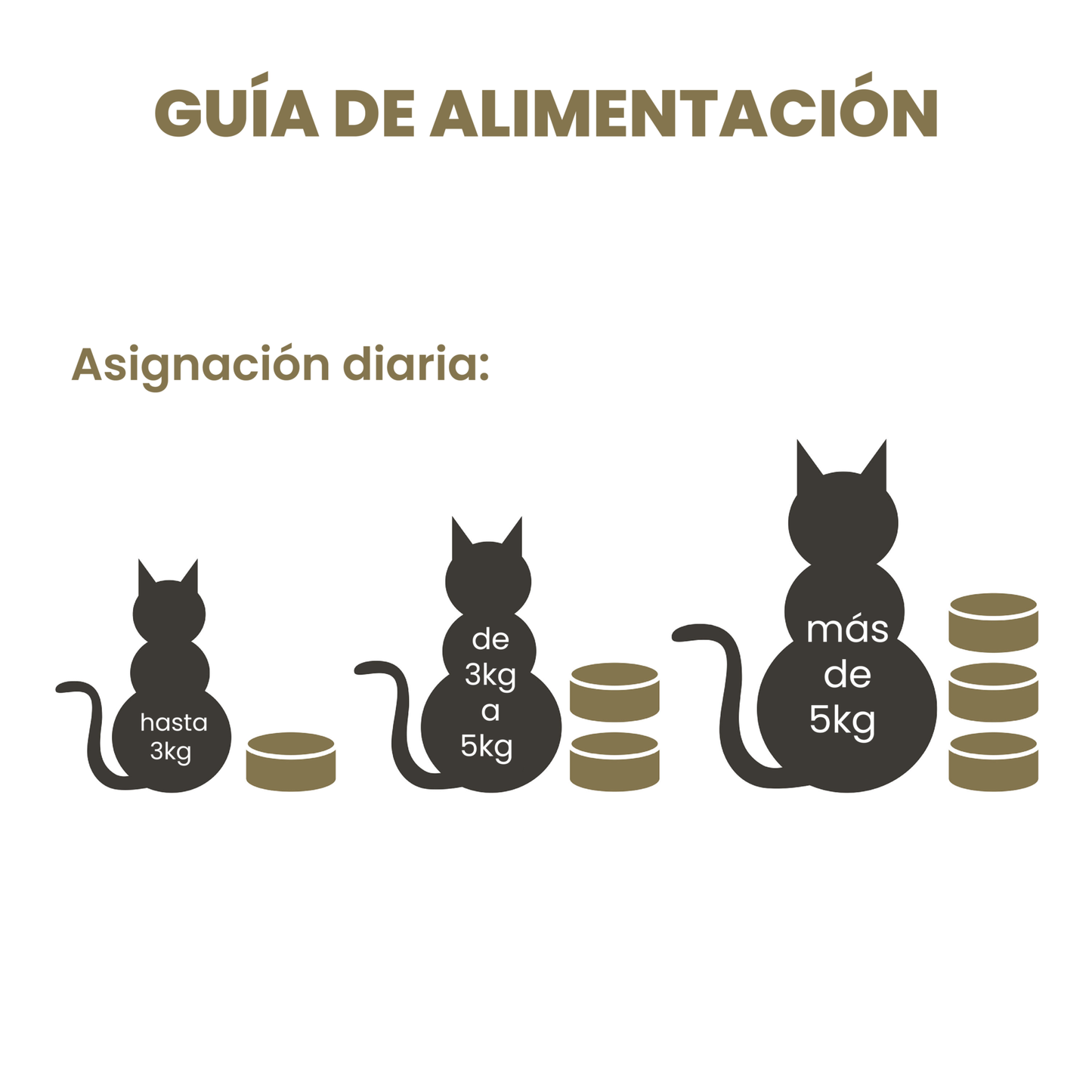 APPLAWS GATO FILETE DE ATUN-CAMARON CON CALDITO