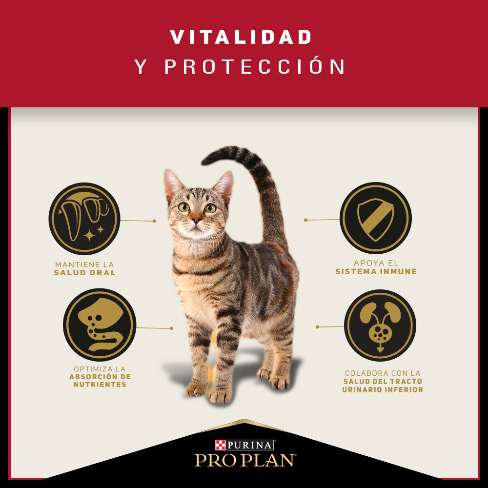 Pro Plan Adulto Gato