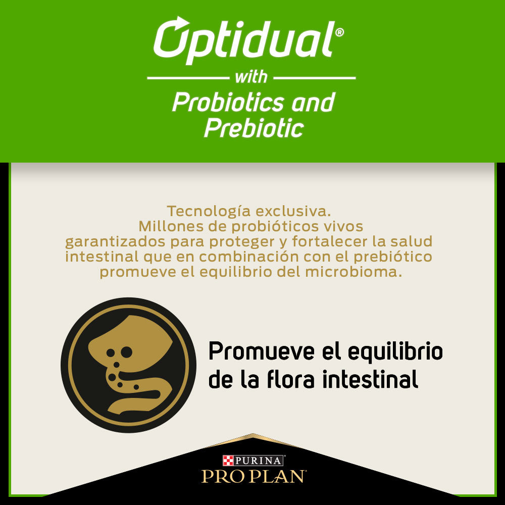 PROPLAN SENSITIVE SKIN AND STOMACH