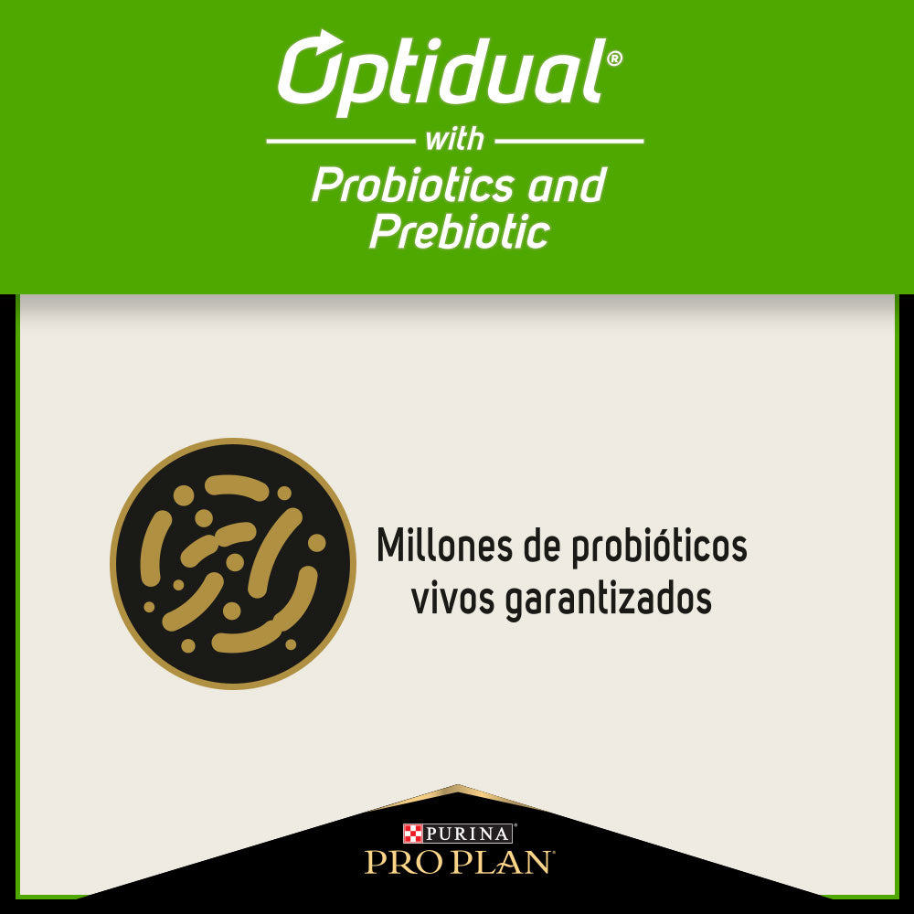 PROPLAN SENSITIVE SKIN AND STOMACH