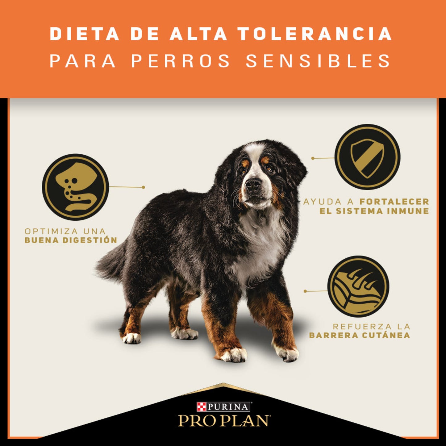 PROPLAN SENSITIVE SKIN CORDERO