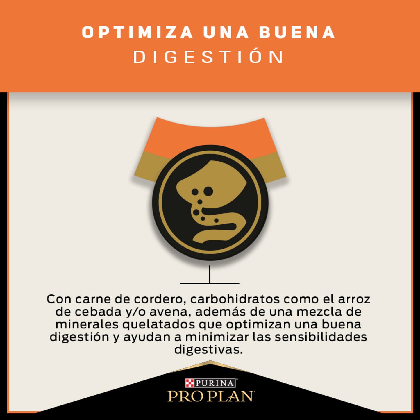 PROPLAN SENSITIVE SKIN CORDERO