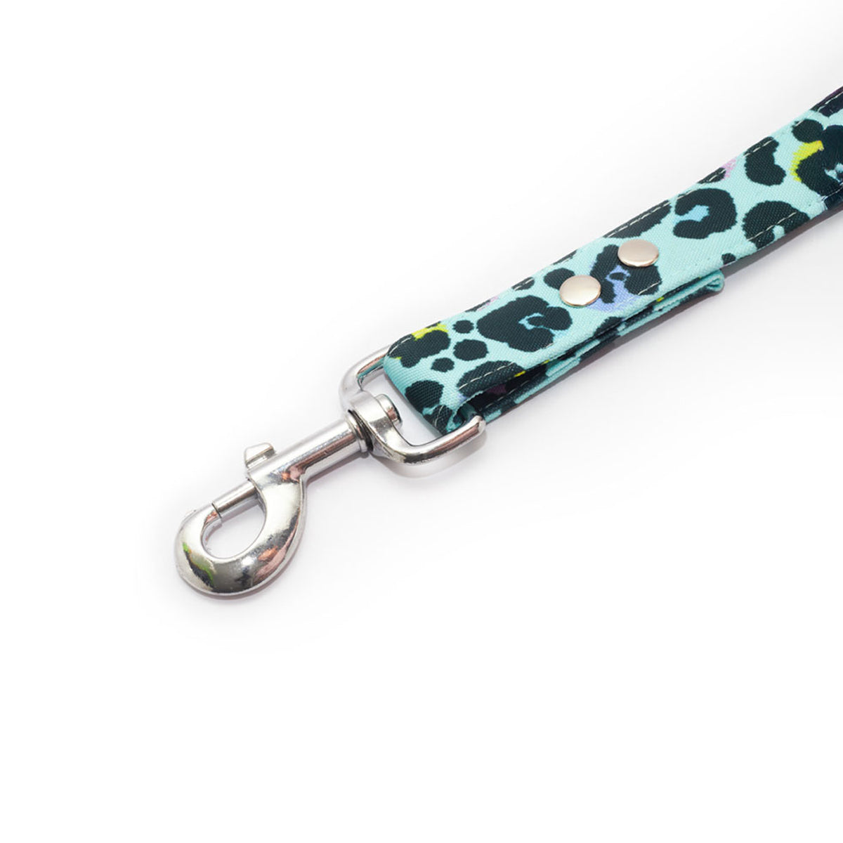 Correa manos libres Animal Blue