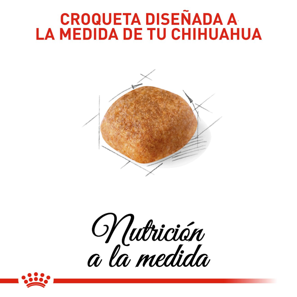 Royal Canin Chihuahua Adult | Alimento para Perros Chihuahua Adultos