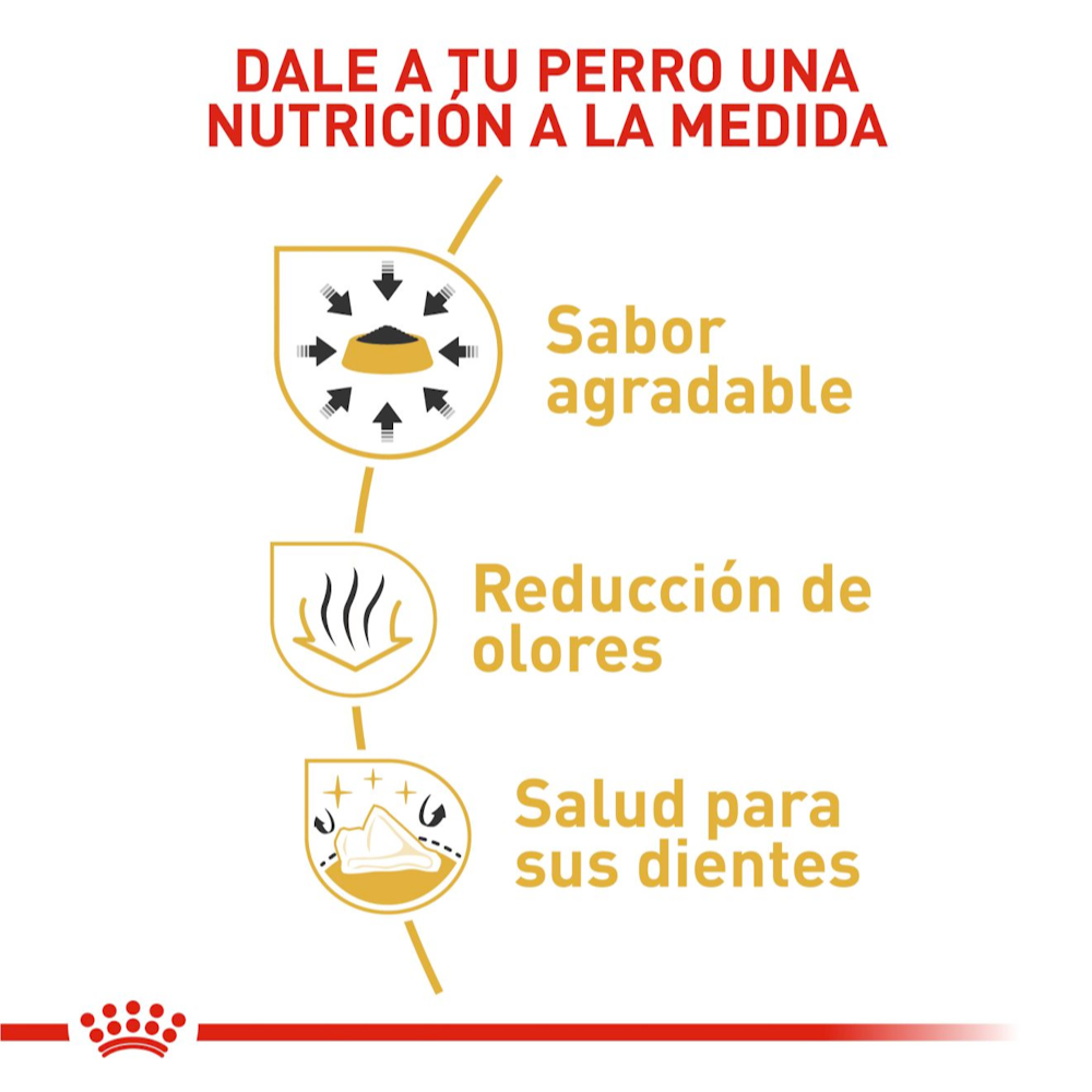 Royal Canin Chihuahua Adult | Alimento para Perros Chihuahua Adultos