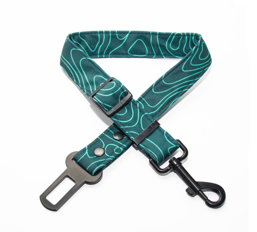 Cinturón de Seguridad Technical