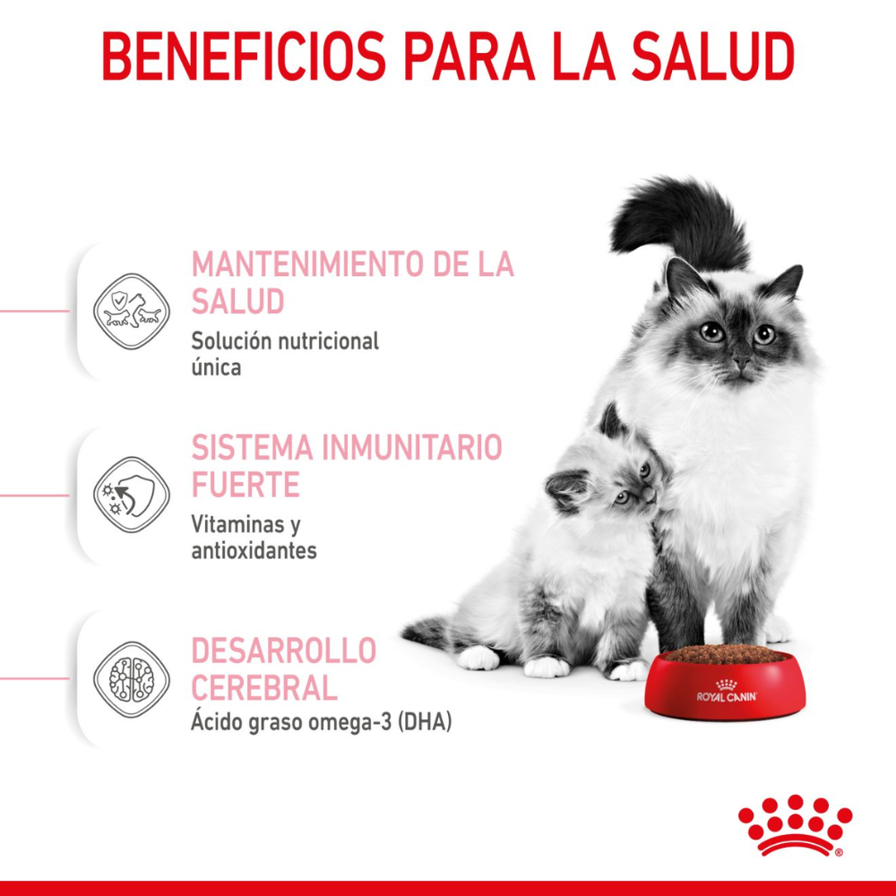 Royal Canin Mother  And BabyCat