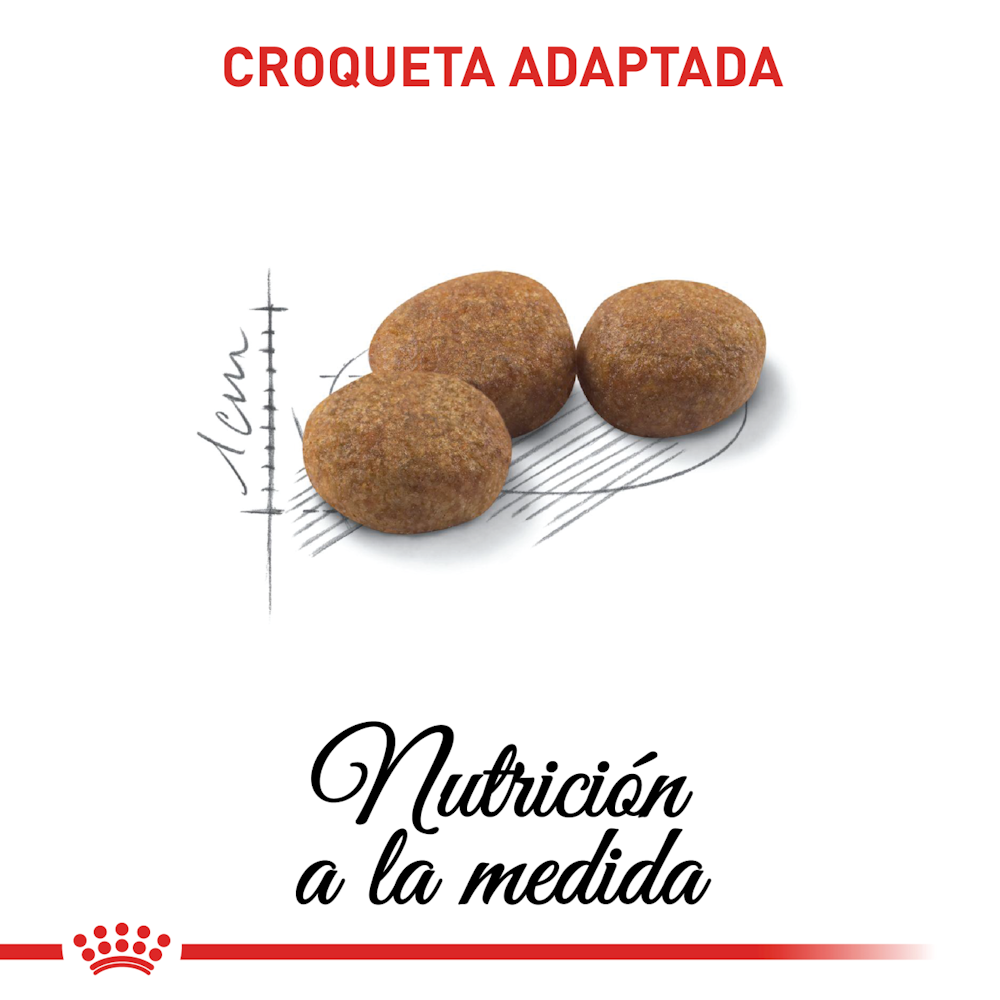 Royal Canin Sterilised