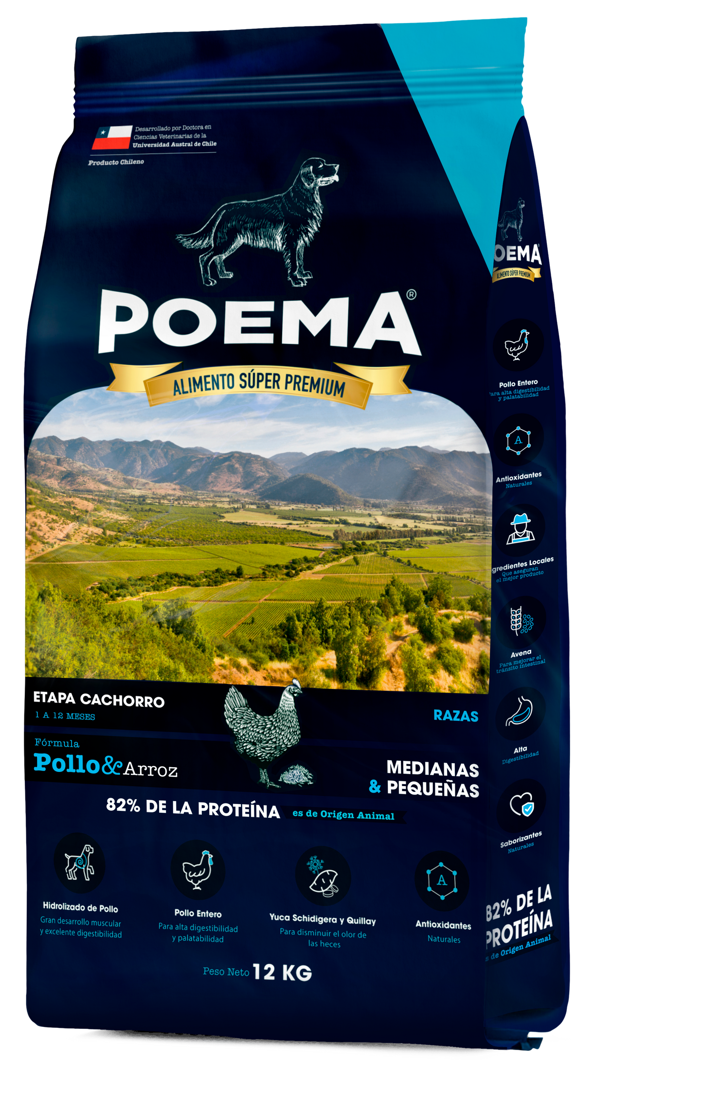 POEMA CACHORRO POLLO