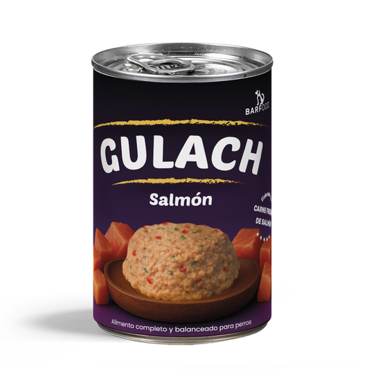 Gulach de Salmón para Perros – 400 g