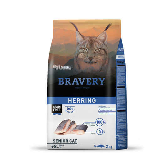 BRAVERY HERRING SENIOR CAT