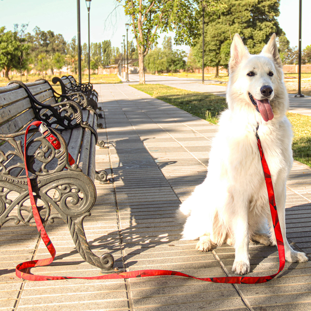 Correa Manos Libre Prisma