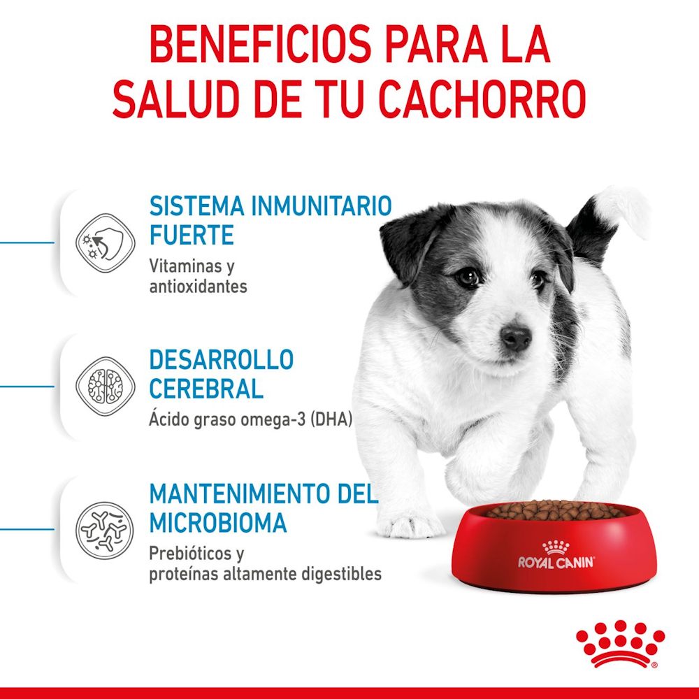 Royal Canin Mini Puppy