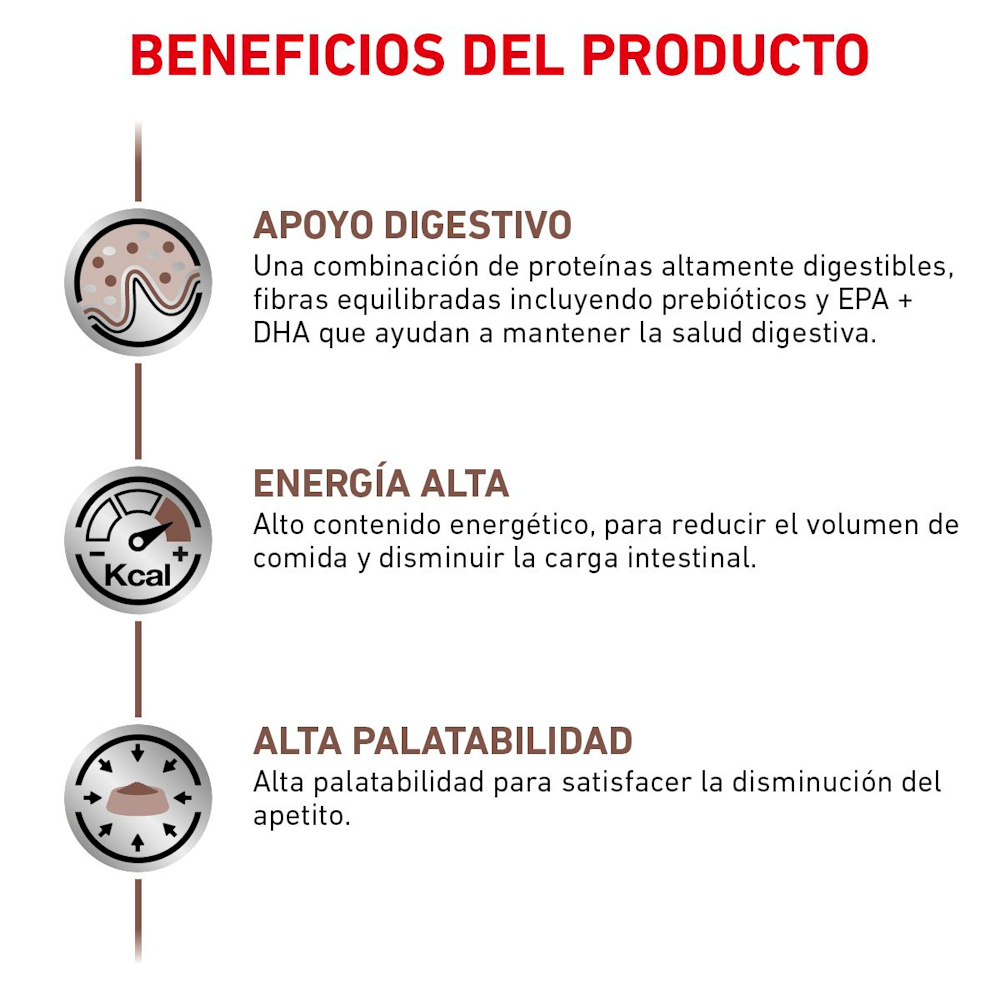 Alimento Húmedo Royal Canin Gastrointestinal para Gatos - Lata 145g