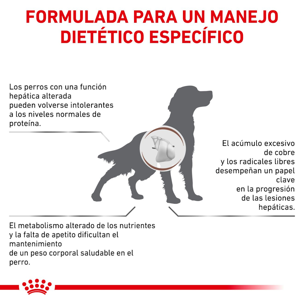 Hepatic Canine Royal Canin