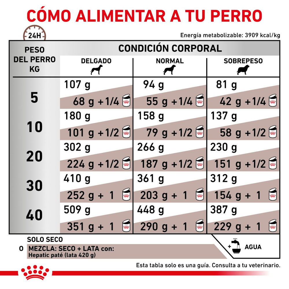 Hepatic Canine Royal Canin