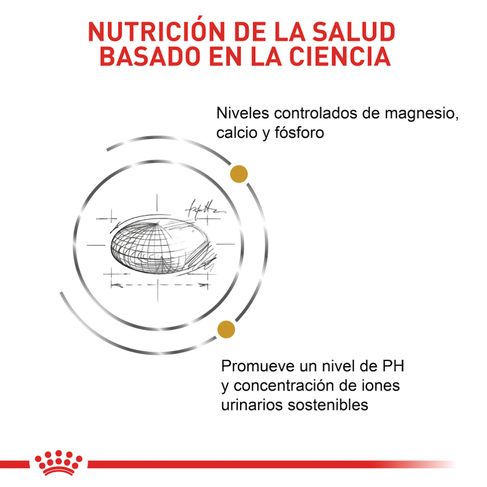 Royal Canin URINARY S/O Felino