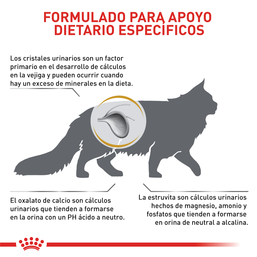 Royal Canin URINARY S/O Felino