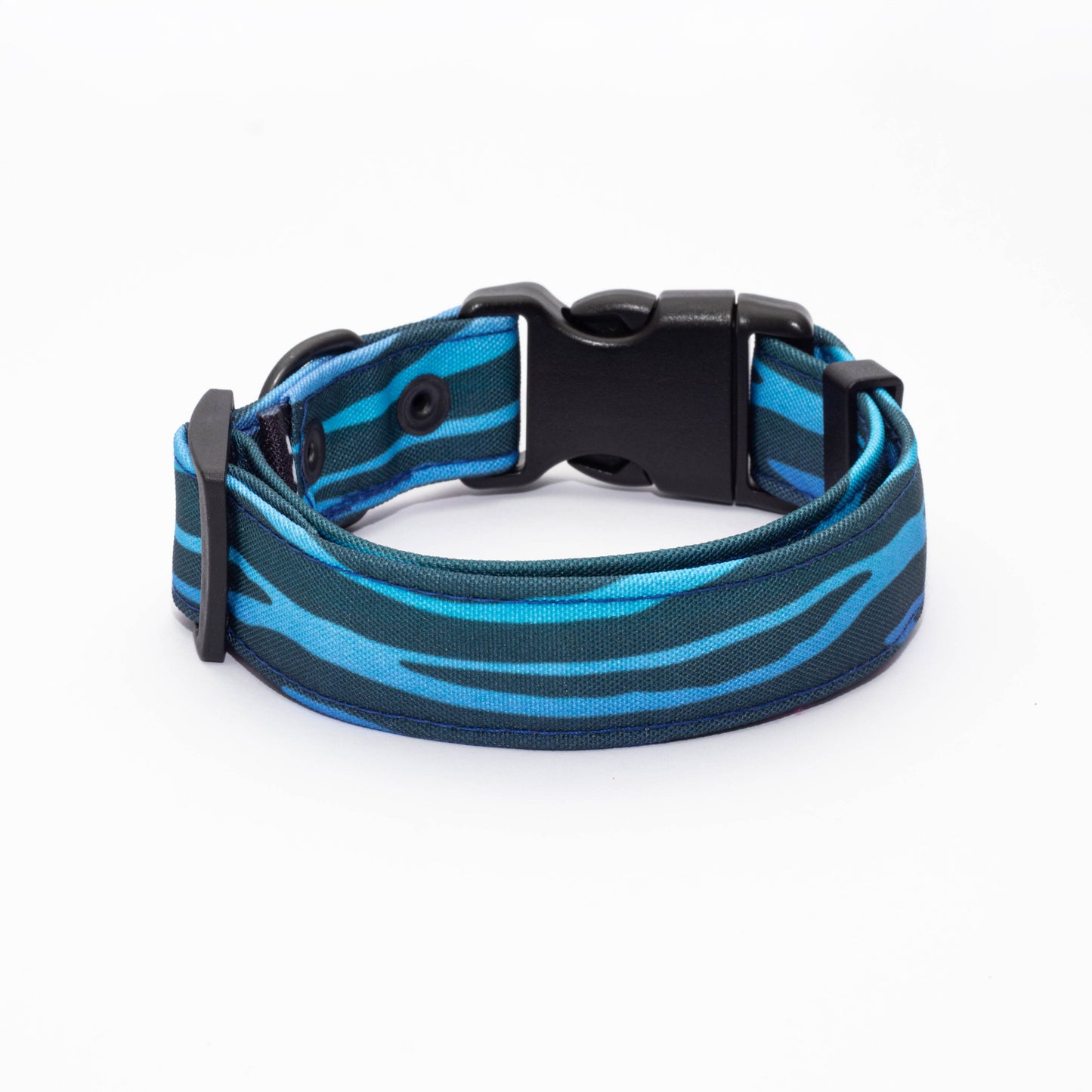 Collar Zebra Colors