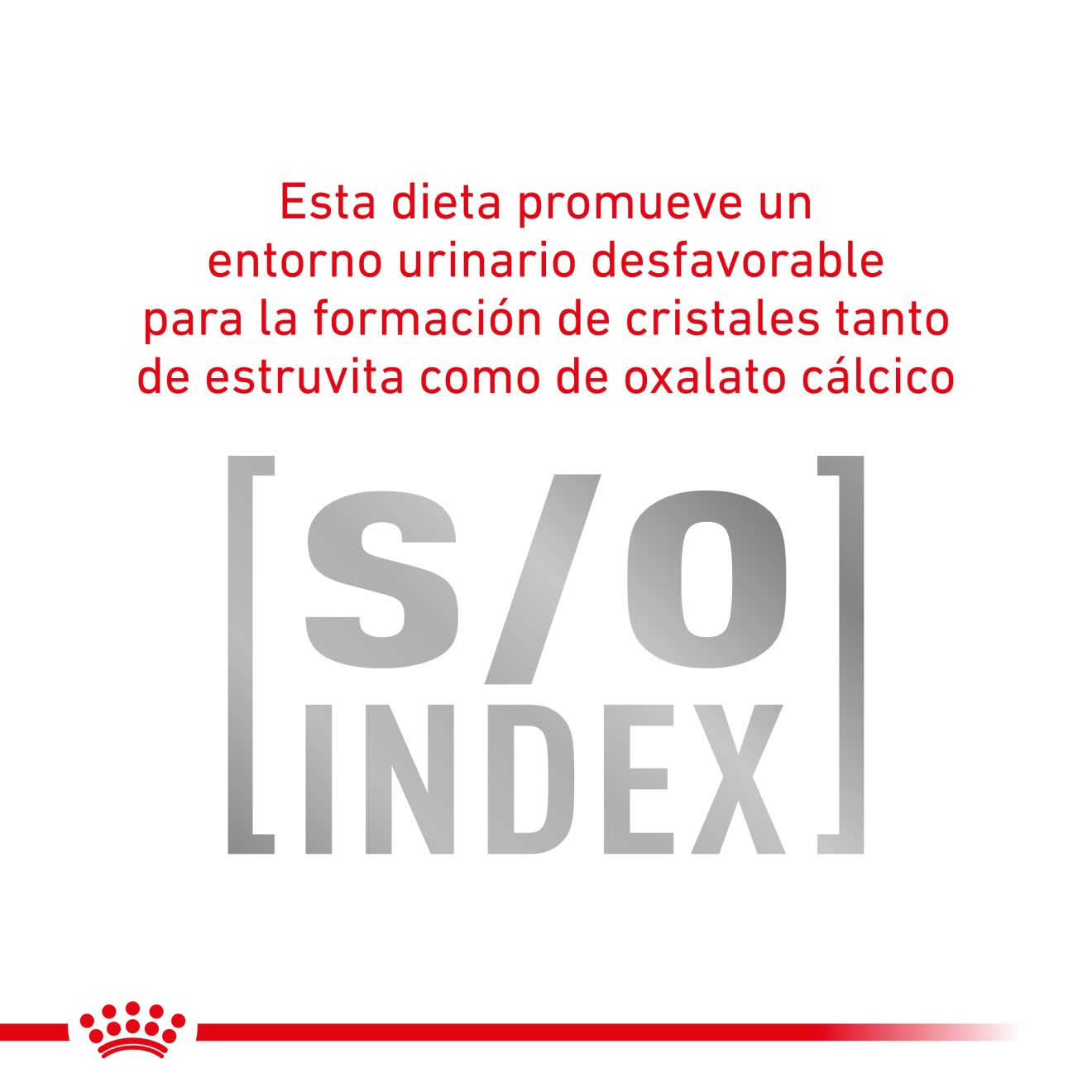 Royal Canin Gastrointestinal Gato Pouch 85 g