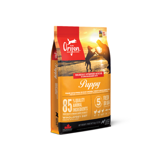 Alimento Orijen Puppy para cachorros, receta premium con proteínas frescas y sin cereales para un crecimiento saludable y fuerte