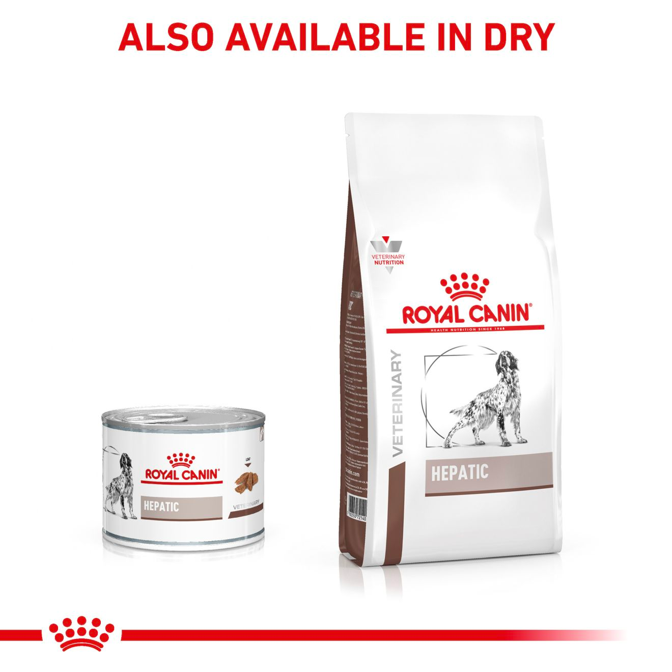 Royal Canin Hepatic Canino Wet | Alimento Húmedo para Perros Adultos